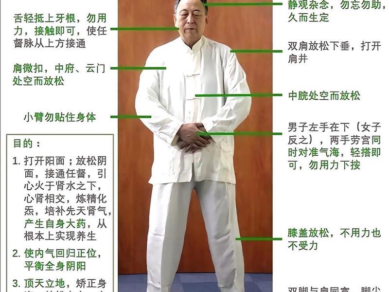 名家站桩教学;名家站桩教学视频 名家站桩教学;名家站桩教学视频