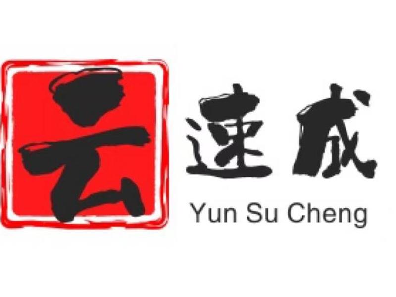 云速成 - 云速成美站企业版 云速成 - 云速成美站企业版