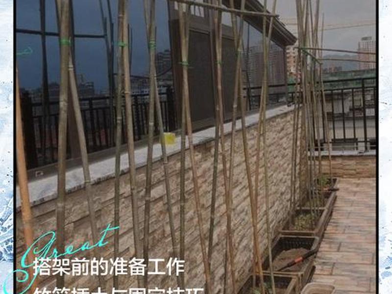 竹子搭建棚教程、竹子搭建棚教程简单