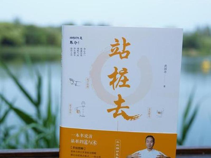 站桩入门与养生书籍,站桩入门与养生书籍哪个好 站桩入门与养生书籍,站桩入门与养生书籍哪个好