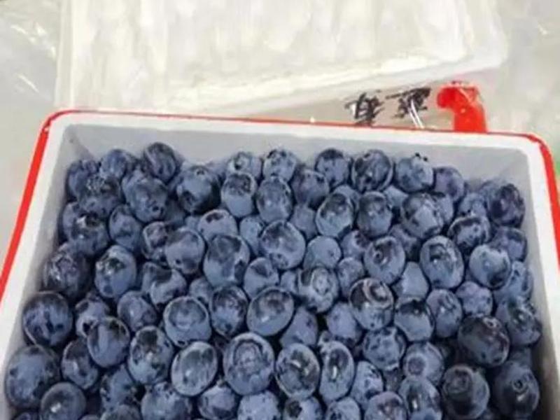 连云港对外贸易出口的产品 连云港对外贸易出口的产品有哪些 连云港对外贸易出口的产品 连云港对外贸易出口的产品有哪些