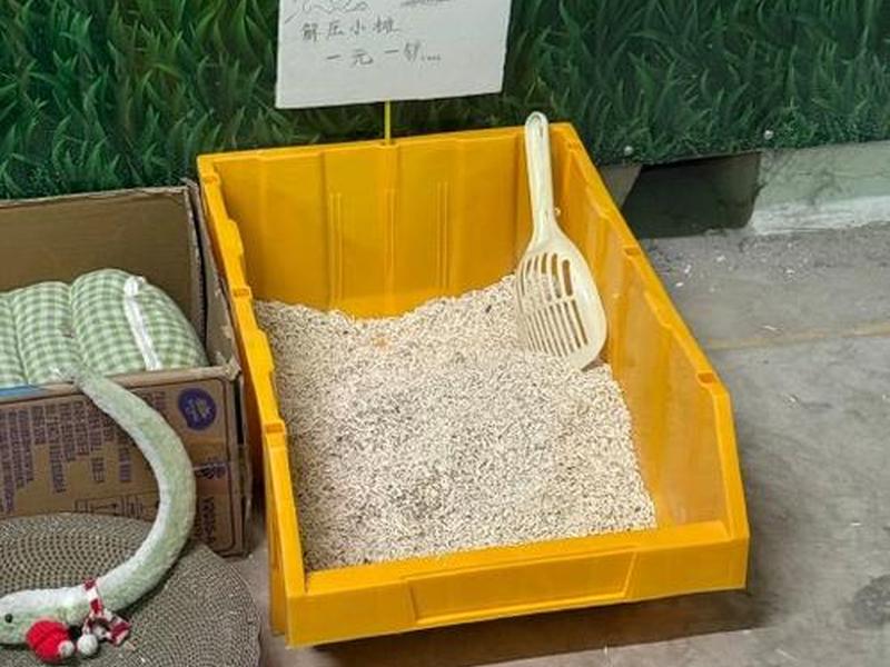 快速搭建猫窝的材料清单 快速搭建猫窝的材料清单图片 快速搭建猫窝的材料清单 快速搭建猫窝的材料清单图片