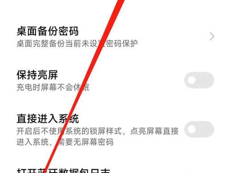 开发人员设置怎么打开（开发人员设置怎么打开文件）