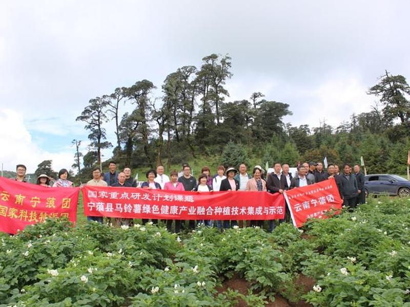 永宁企业网络推广怎样做、永宁企业网络推广怎样做的