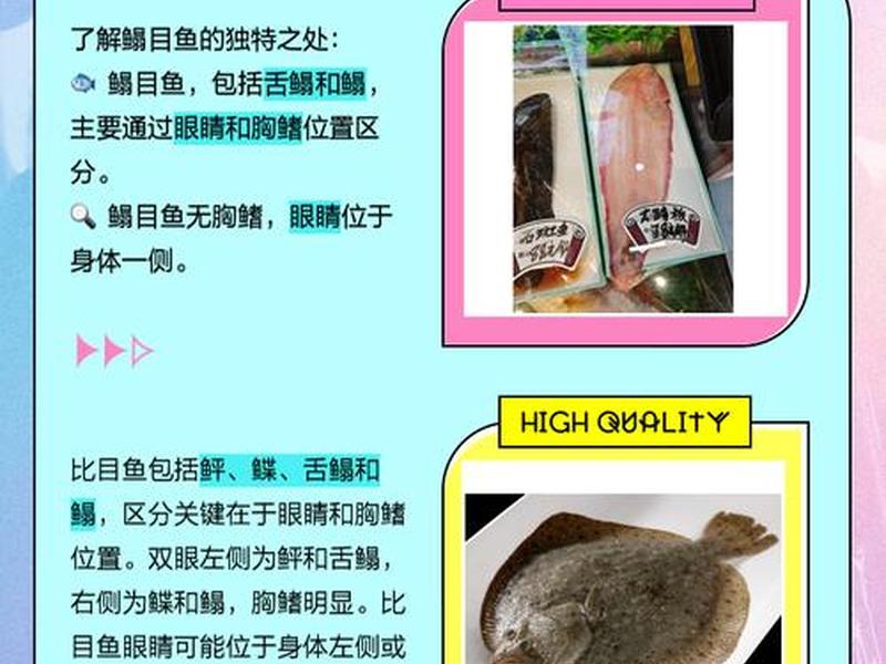 鳎目鱼挑选技巧 - 鳎目鱼怎么挑选 鳎目鱼挑选技巧 - 鳎目鱼怎么挑选