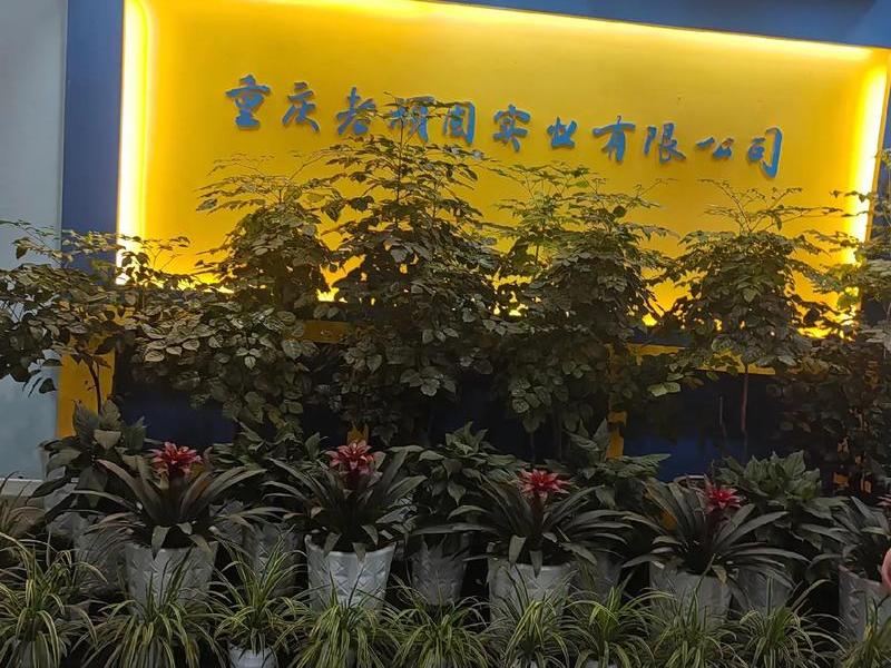重庆外贸建站 - 重庆外贸建设集团