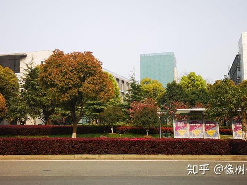 苏州做外贸有前景吗 苏州做外贸有前景吗知乎 苏州做外贸有前景吗 苏州做外贸有前景吗知乎