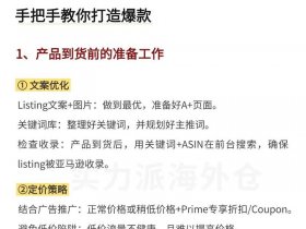 亚马逊自建站营销；亚马逊自建站营销方案