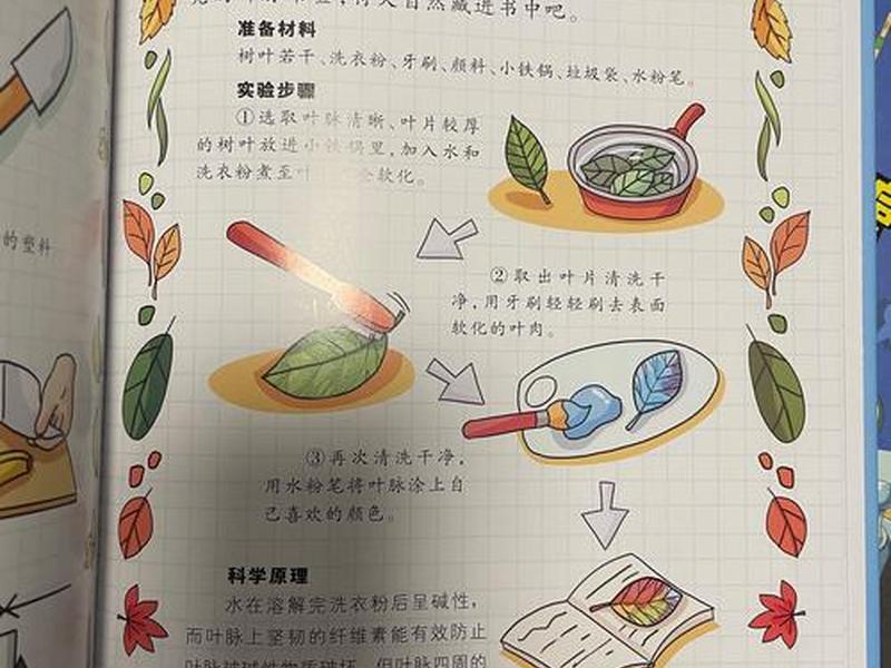 小百科怎么写、科学小百科怎么写 小百科怎么写、科学小百科怎么写