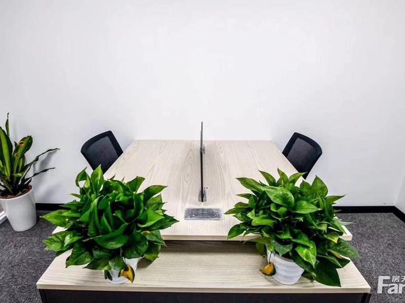 云狐社交 云狐信息技术有限公司 云狐社交 云狐信息技术有限公司
