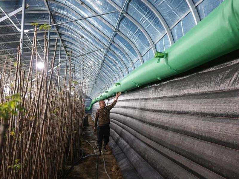邹平大棚搭建视频，邹平大棚搭建视频最新