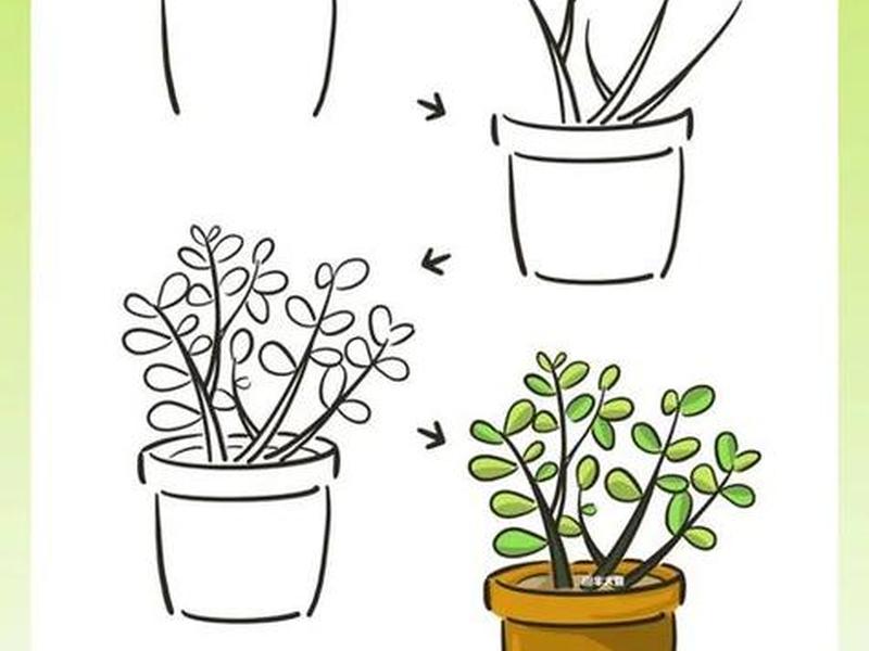 种植平台的简笔画怎么画、种植平台的简笔画怎么画好看 种植平台的简笔画怎么画、种植平台的简笔画怎么画好看