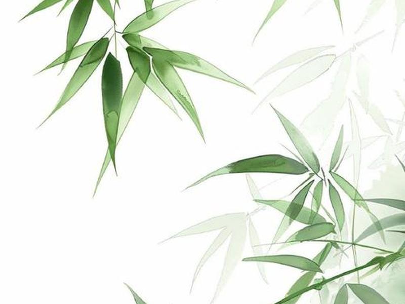 竹子建站、竹子建站seo设置怎么做