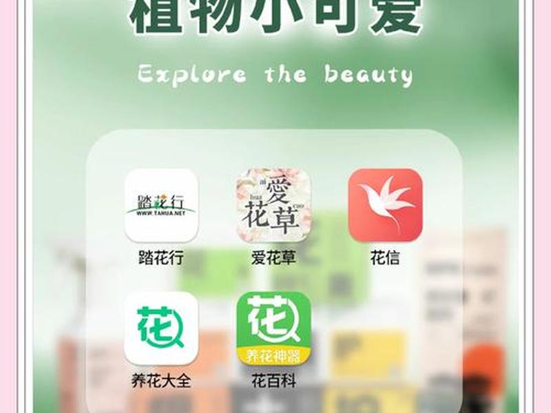 叶子app是什么软件 叶子app是干什么的 叶子app是什么软件 叶子app是干什么的