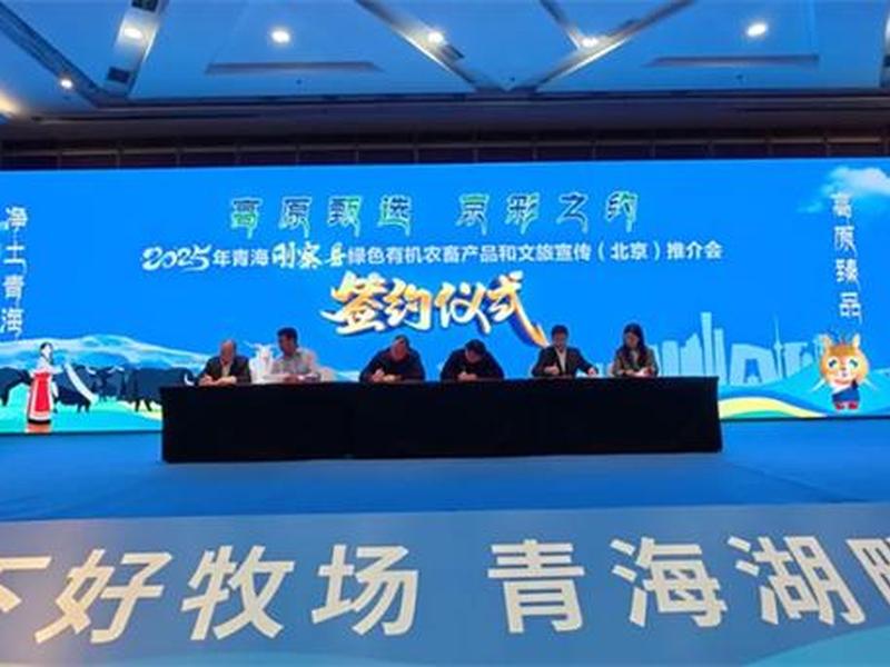 青海贸易网站建设平台(青海贸易网站建设平台有哪些) 青海贸易网站建设平台(青海贸易网站建设平台有哪些)