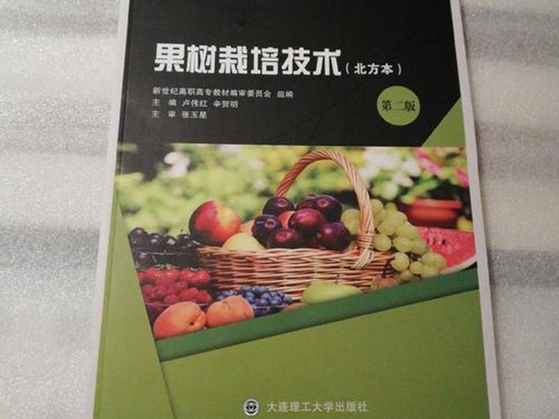 网站开发实用技术第二版；网站开发实用技术第二版pdf