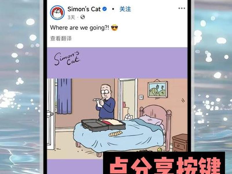 脸书使用教程视频(脸书使用教程视频下载) 脸书使用教程视频(脸书使用教程视频下载)