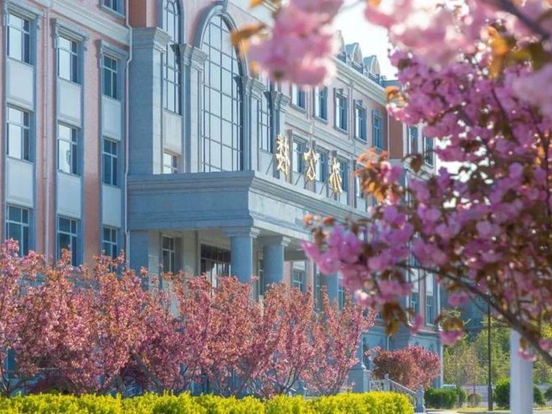 辽宁外贸学院（辽宁外贸学院怎么样）