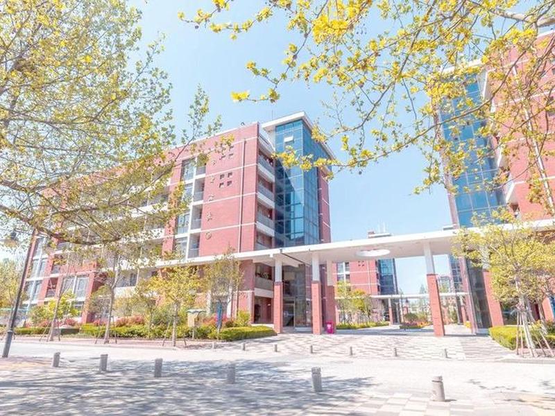 山东外贸服务学院、山东外贸服务学院官网 山东外贸服务学院、山东外贸服务学院官网