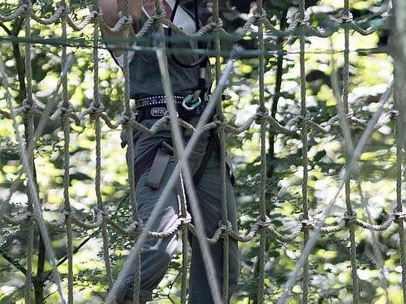 攀树设备 攀树装备讲解 攀树设备 攀树装备讲解
