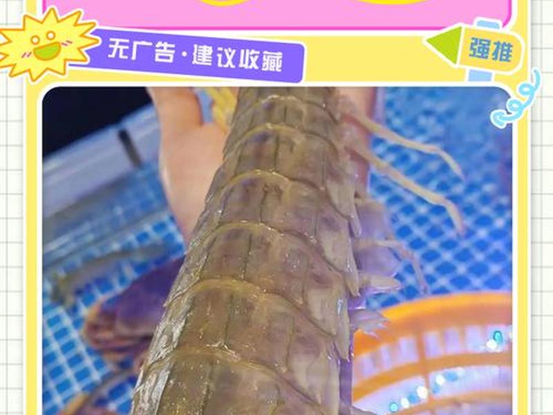 虾皮广告建站教程 - 虾皮怎么做广告 虾皮广告建站教程 - 虾皮怎么做广告