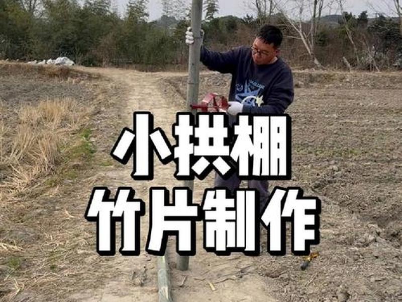 竹子搭建大棚的方法 竹子搭建大棚的方法有哪些 竹子搭建大棚的方法 竹子搭建大棚的方法有哪些