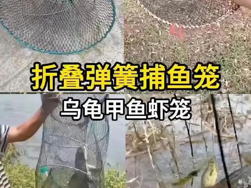 怎么做鱼笼网视频教程(怎么做鱼笼网视频教程全集) 怎么做鱼笼网视频教程(怎么做鱼笼网视频教程全集)