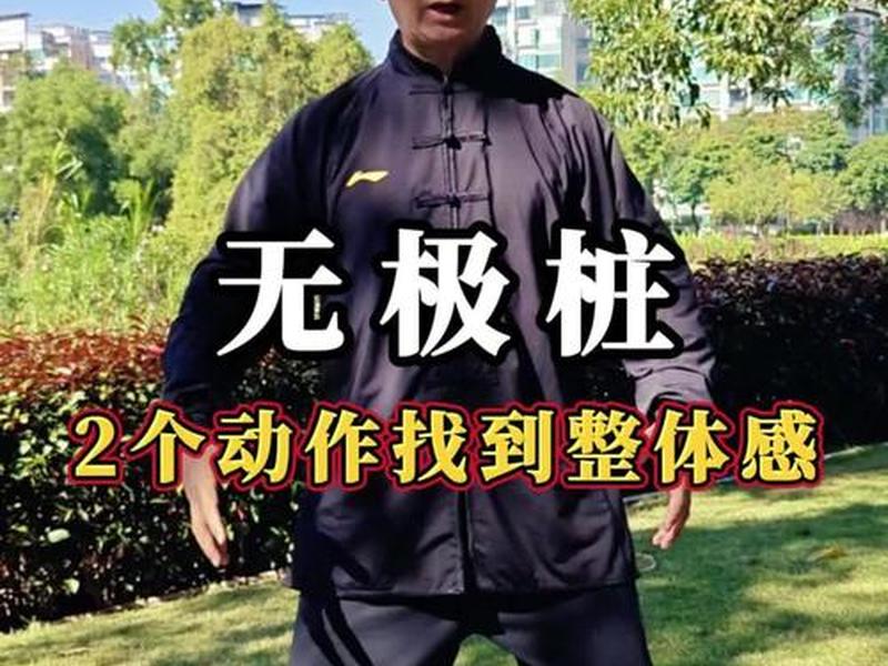 无极桩站桩教学视频,无极桩站桩教学视频完整版 无极桩站桩教学视频,无极桩站桩教学视频完整版