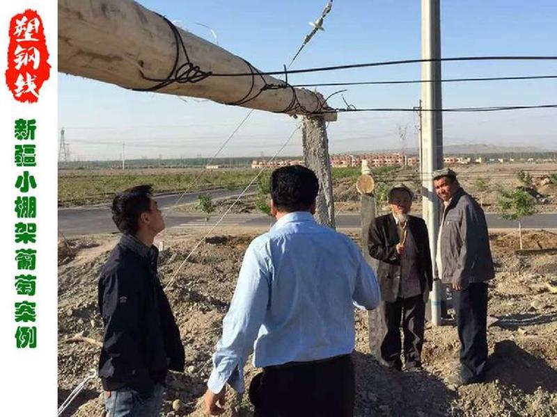 吐鲁番外贸建站视频教程，吐鲁番在建工程项目