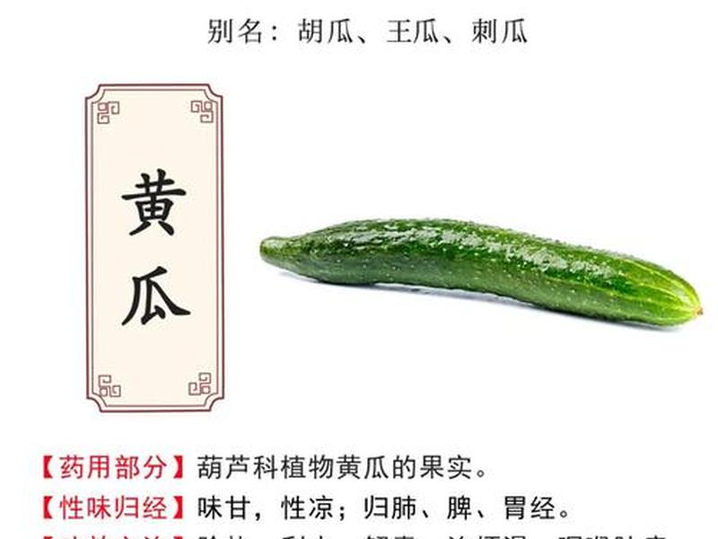 三分钟讲透经典下地瓜疗法指的是什么 地瓜疗法有科学依据吗 三分钟讲透经典下地瓜疗法指的是什么 地瓜疗法有科学依据吗