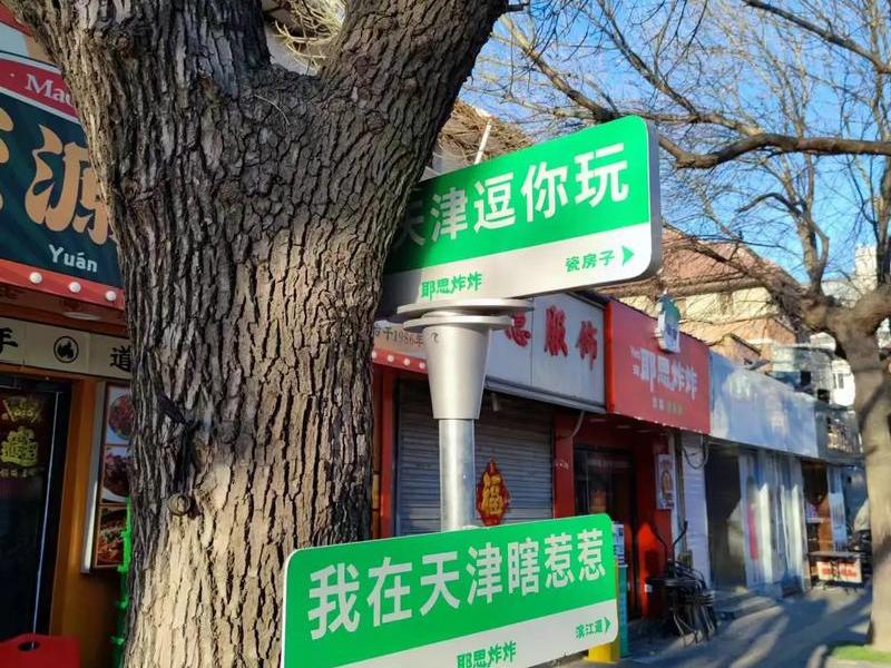 天津的网站、天津网站建设 天津的网站、天津网站建设