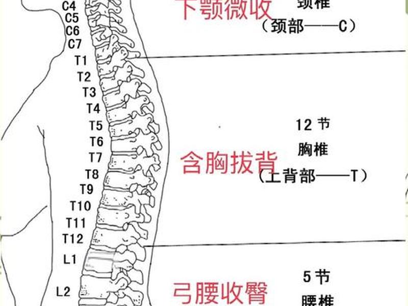 太极拳入门自学教程从零开始站桩、太极拳入门自学教程从零开始站桩动作 太极拳入门自学教程从零开始站桩、太极拳入门自学教程从零开始站桩动作