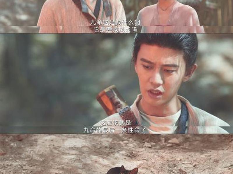 无忧seo;无忧渡剧情介绍 无忧seo;无忧渡剧情介绍