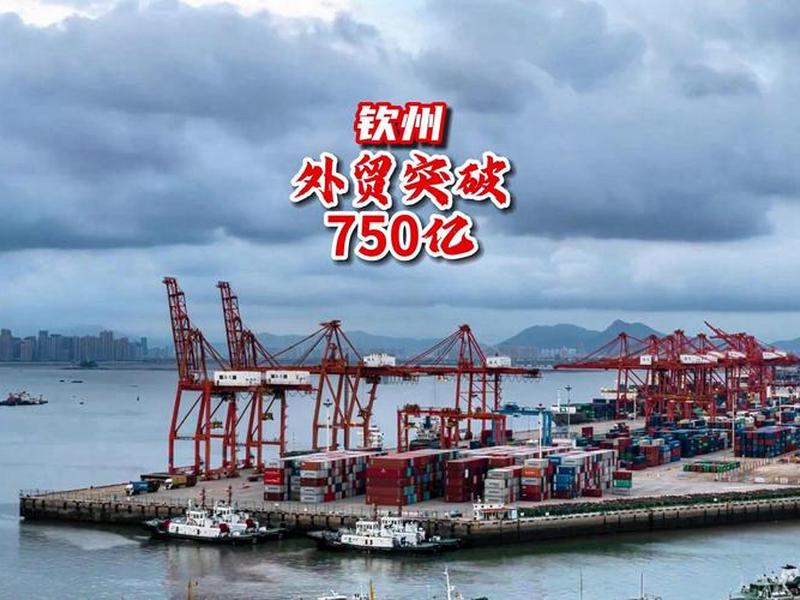 钦州外贸进出口政策解读 - 钦州外贸进出口政策解读视频 钦州外贸进出口政策解读 - 钦州外贸进出口政策解读视频