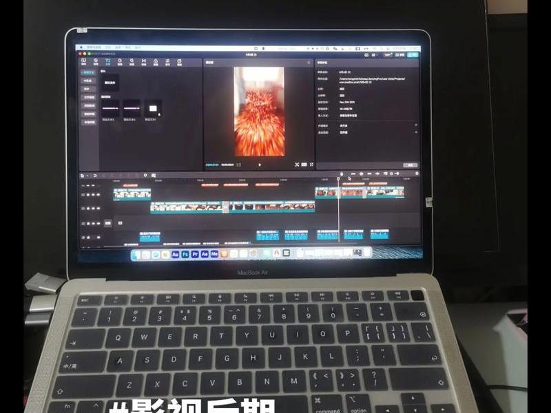 制作模板视频的教程 制作模板视频的教程图片 制作模板视频的教程 制作模板视频的教程图片