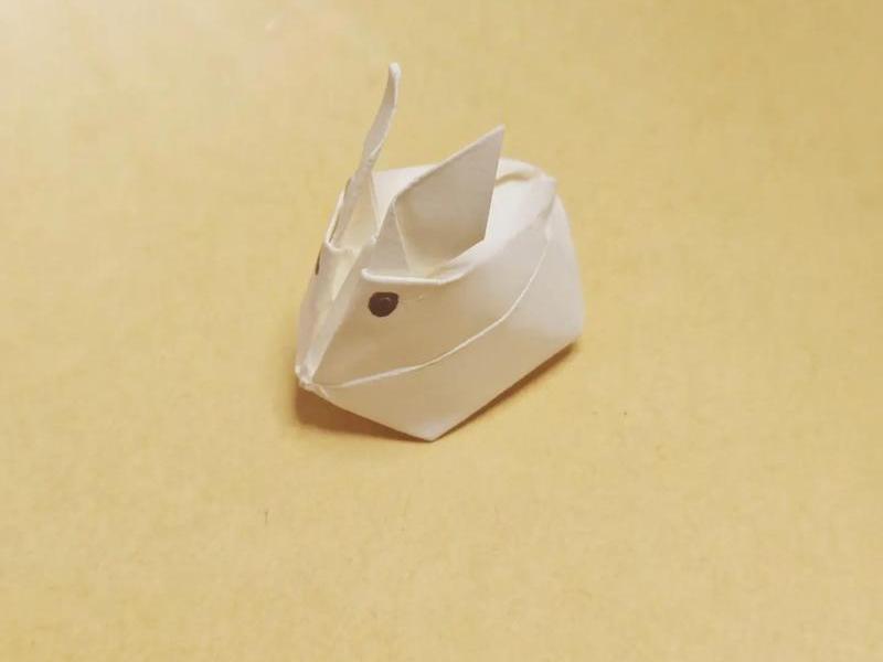 卯兔小制作(小兔子制作) 卯兔小制作(小兔子制作)