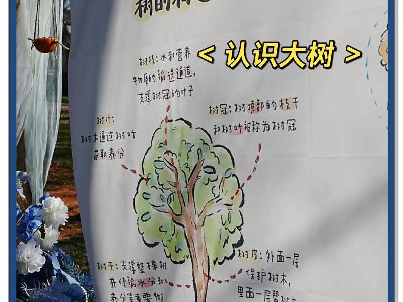 攀树系统搭建教程 - 攀树系统搭建教程图片 攀树系统搭建教程 - 攀树系统搭建教程图片