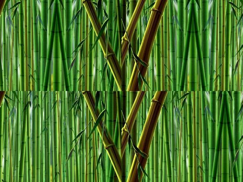 竹子建房教程视频;竹子建房教程视频播放 竹子建房教程视频;竹子建房教程视频播放