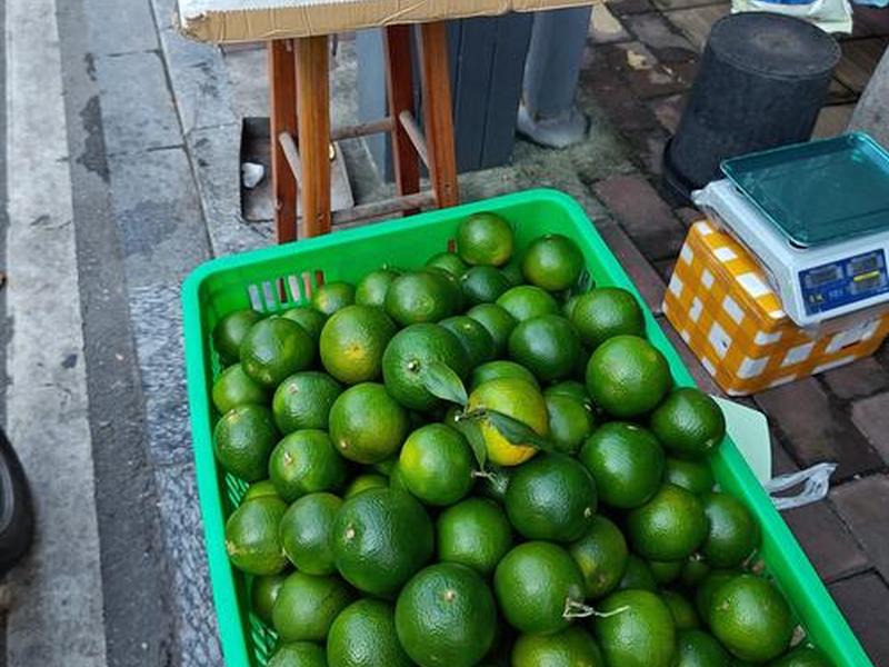 落地橙子能吃吗、落地橙子能吃吗图片 落地橙子能吃吗、落地橙子能吃吗图片