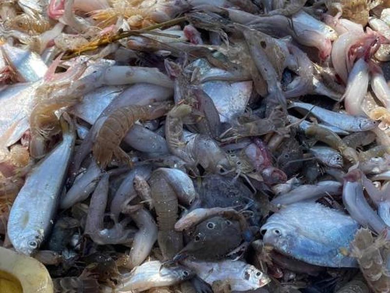 如何出海,如何出海捕鱼 如何出海,如何出海捕鱼