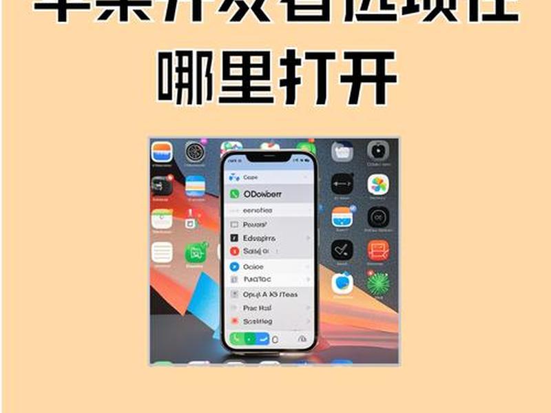 开发人员选项详细教程、开发人员选项详细教程图片