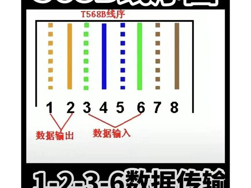 企业网线安装教程(企业网线安装教程图片) 企业网线安装教程(企业网线安装教程图片)