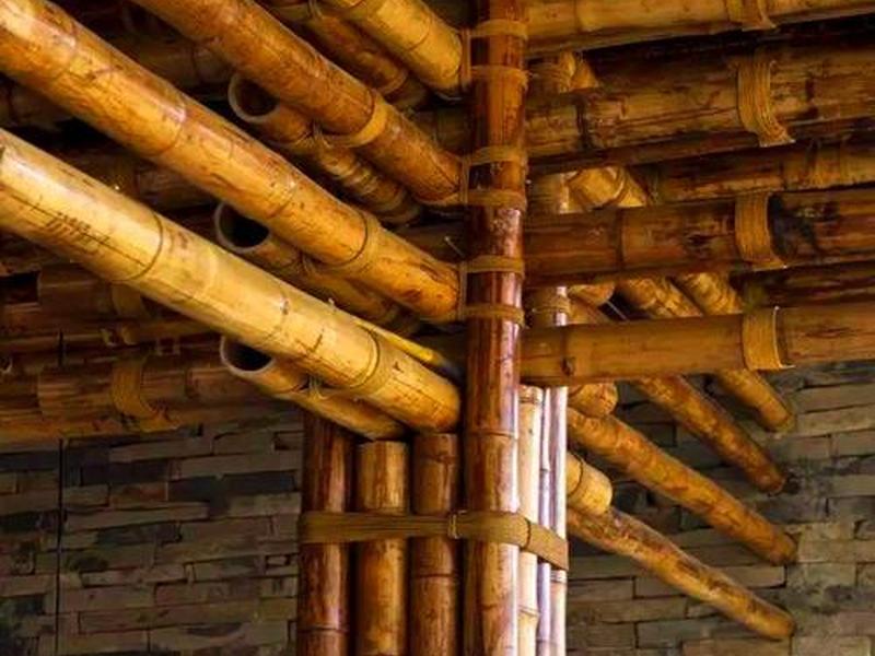竹子建站教程视频、竹子建房教程视频 竹子建站教程视频、竹子建房教程视频