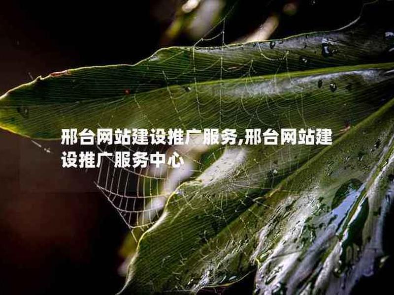 邢台网站建设案例;平台网站建设案例 邢台网站建设案例;平台网站建设案例