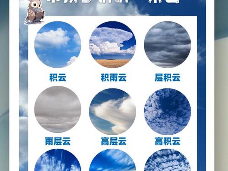 云指导是什么、云指导是什么意思 云指导是什么、云指导是什么意思