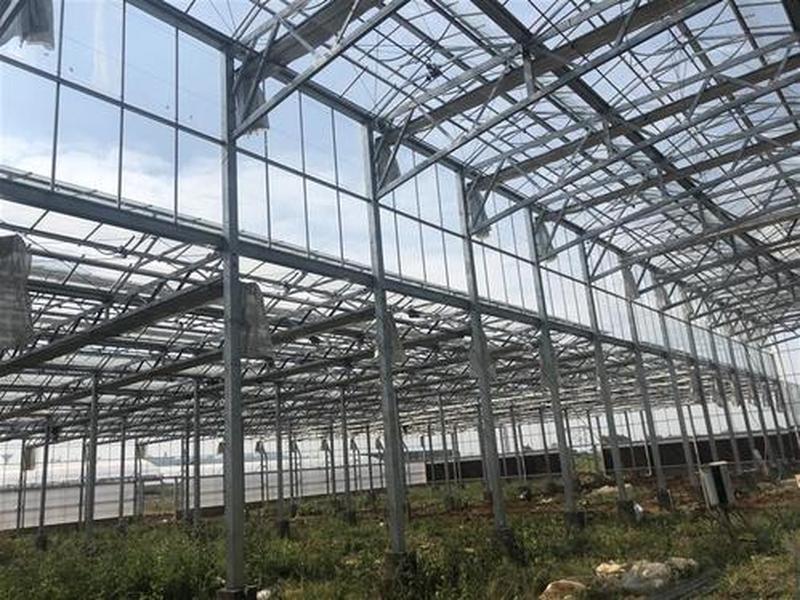 湛江搭建大棚、湛江搭建大棚厂家 湛江搭建大棚、湛江搭建大棚厂家