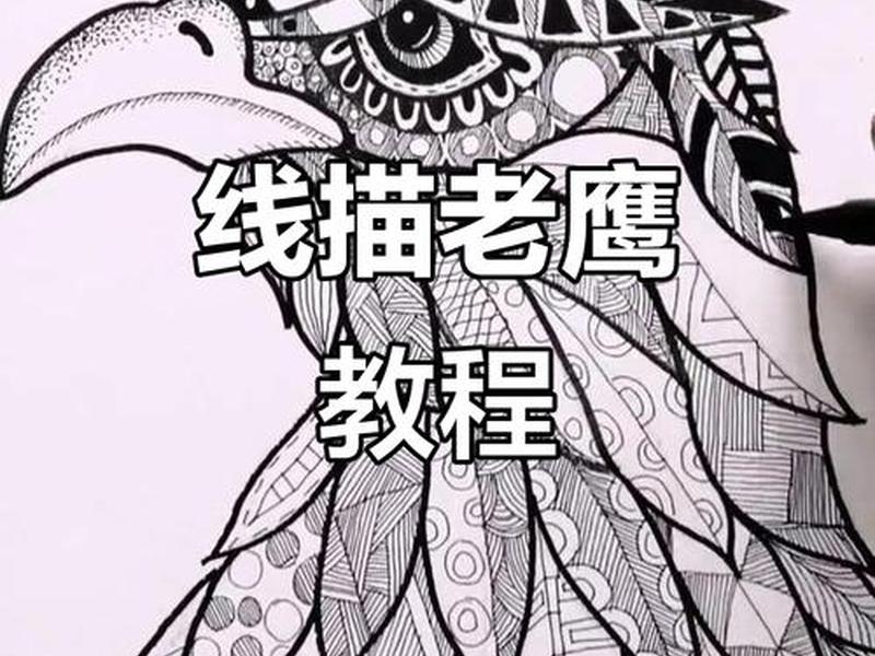 老鹰系列教程 老鹰系列教程图片 老鹰系列教程 老鹰系列教程图片