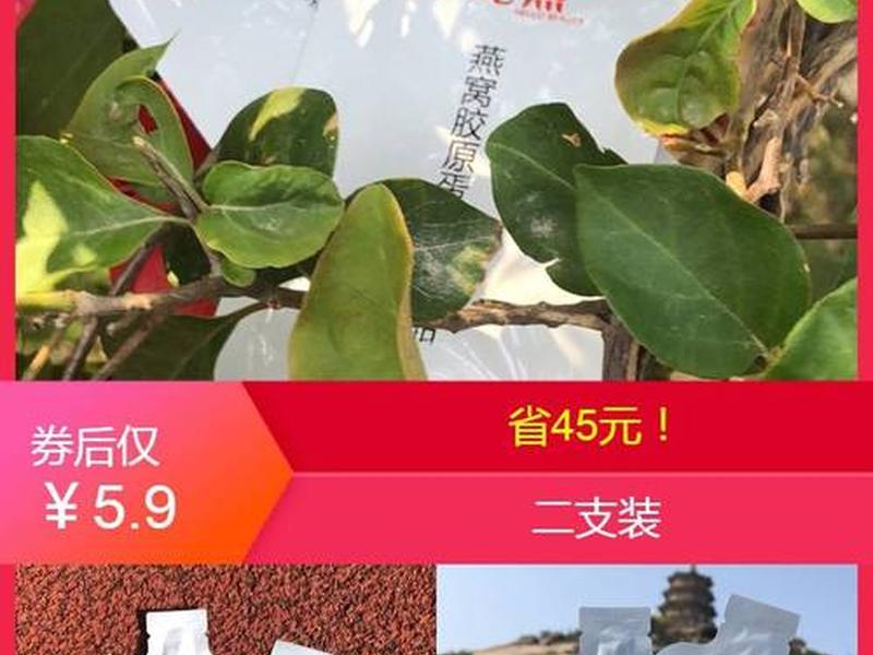 轻淘客是干什么的,轻淘客是起什么作用的 轻淘客是干什么的,轻淘客是起什么作用的