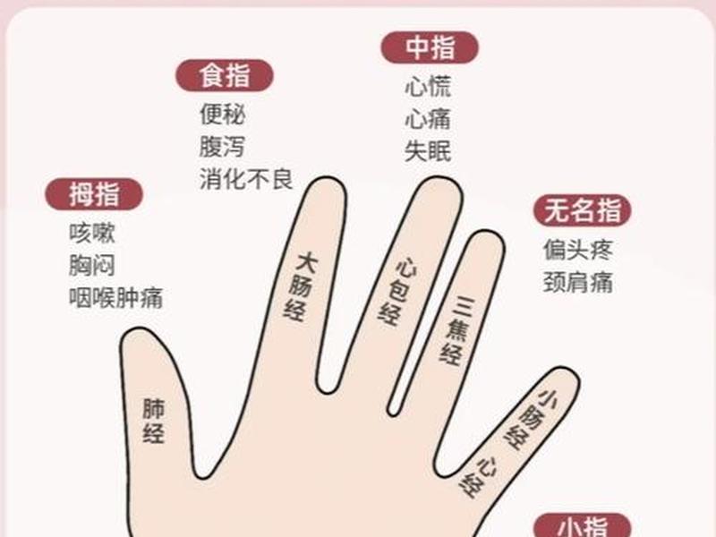 五指系统,五指操作什么意思 五指系统,五指操作什么意思