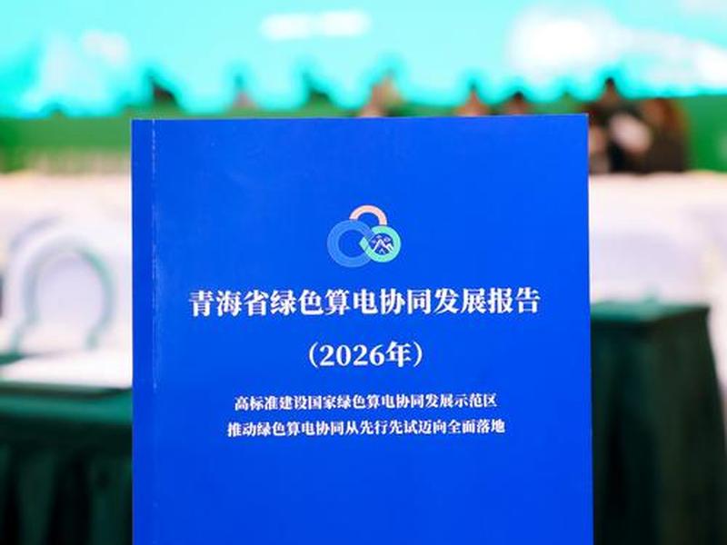 青海对外贸易 青海省对外贸易发展分析 青海对外贸易 青海省对外贸易发展分析